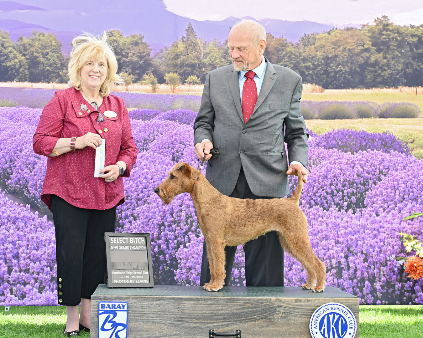 Roisin gets her final points to become a Grand Champion, Hurricane Ridge Kennel Club